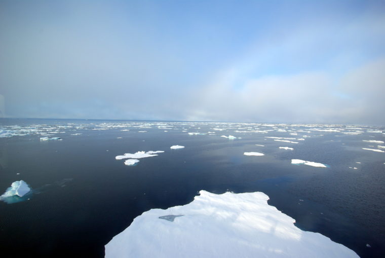 Contact, Access  Japan Consortium for Arctic Environmental Research